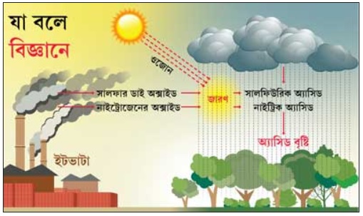 Bangla Meaning of Rain