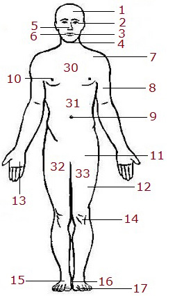 body-3a